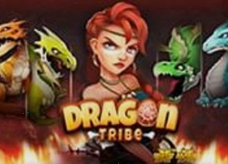 Слот Dragon Tribe Nolimit City